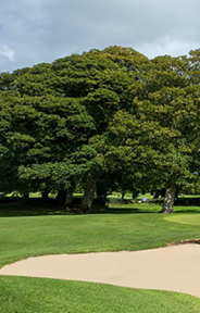 Ballinrobe Golf Course Photo 3