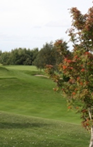 Birr Golf Course Photo 2