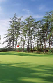 Carton OMeara Golf Course Photo 2