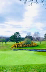 Clandeboye Golf Course Photo 4