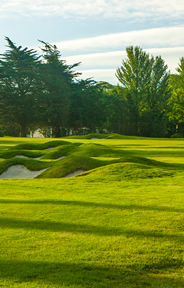 Cork Old Golf Course Photo 5