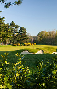 Cork Golf Course Photo 6