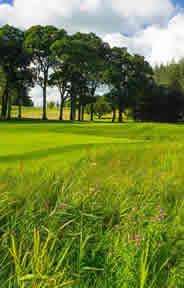 Dromoland Golf Course Photo 1