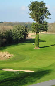 Dromoland Old Golf Course Photo 5