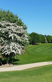 Kilkenny Golf Course Photo 2