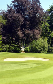 Mullingar Golf Course Photo 2