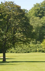 Mullingar Old Golf Course Photo 5