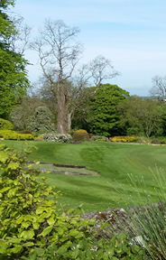 New Forest Golf Course Photo 1