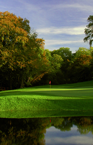 New Forest Golf Course Photo 4