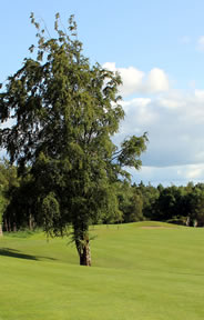 Portumna Golf Course Photo 4