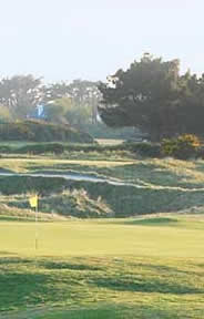 Rosslare Golf Course Photo 6