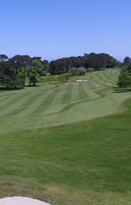 Royal Belfast Golf Course Photo 6