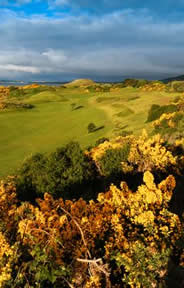 The European Golf Course Photo 1