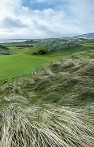 The European Golf Course Photo 6