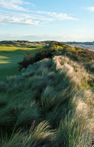 The Island Old Golf Course Photo 5