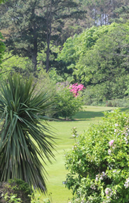 Tramore Golf Course Photo 3