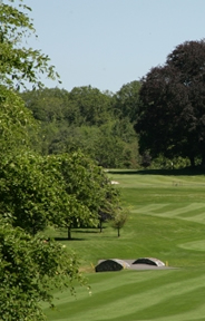 Tullamore Golf Course Photo 3