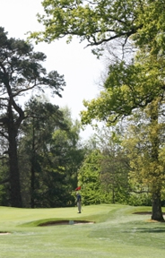 Tullamore Golf Course Photo 4