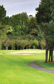 Westport Old Golf Course Photo 5